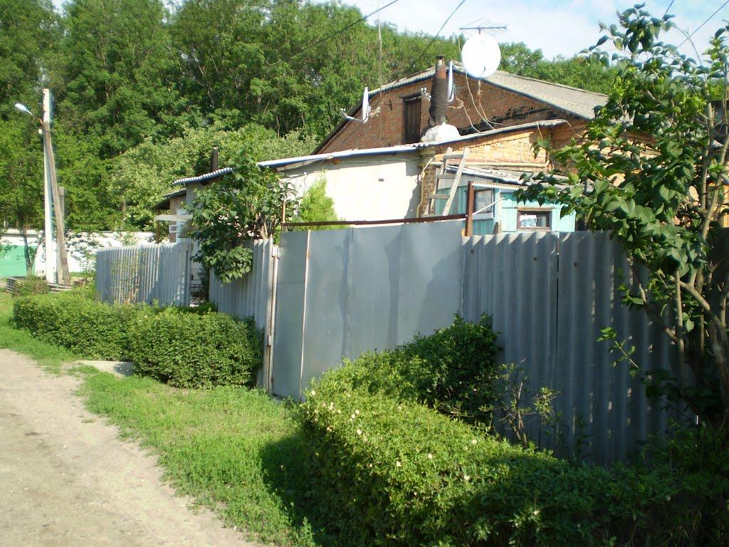 Сіряки з panoramio.com - Сіряки