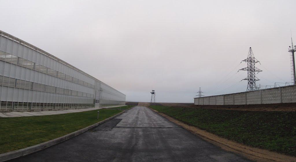 Синьків з panoramio.com - Синьків