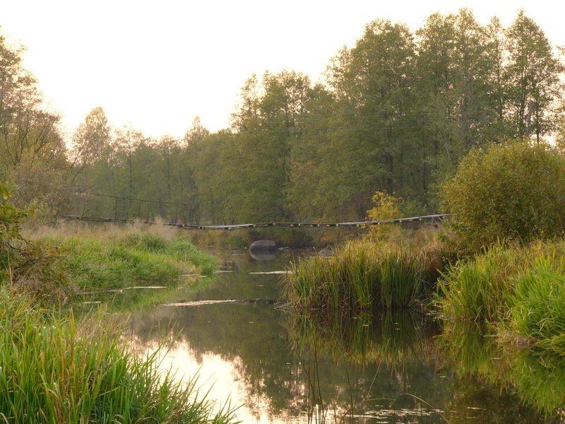 Крупчатка з panoramio.com - Крупчатка