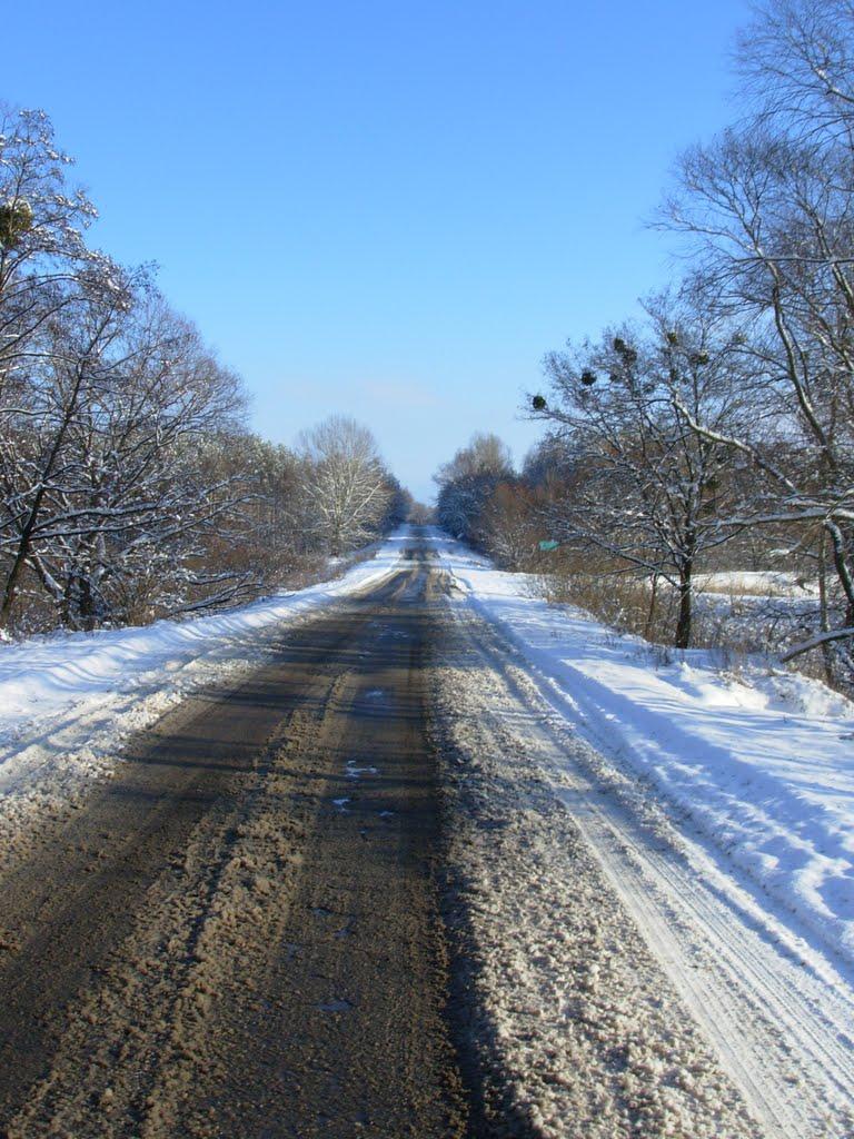 Пролетарське з panoramio.com - Пролетарське