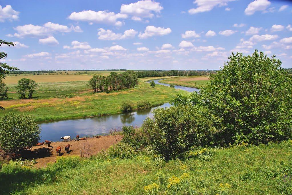 Талаківка з panoramio.com - Талаківка