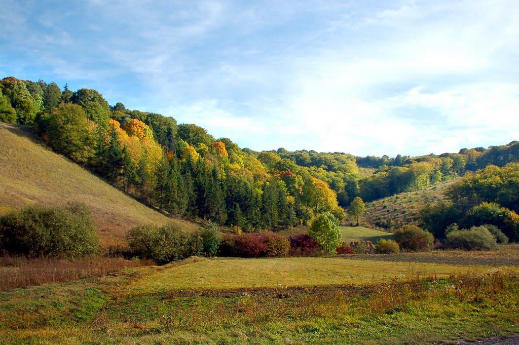 Потутори з panoramio.com - Потуторы