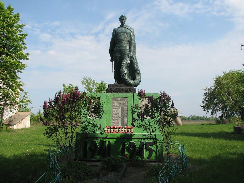 Водяне з panoramio.com - Водяне