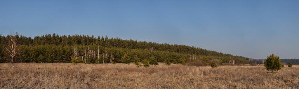 Бахметівка з panoramio.com