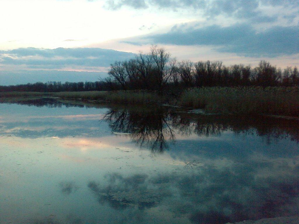 Кринки з panoramio.com - Кринки