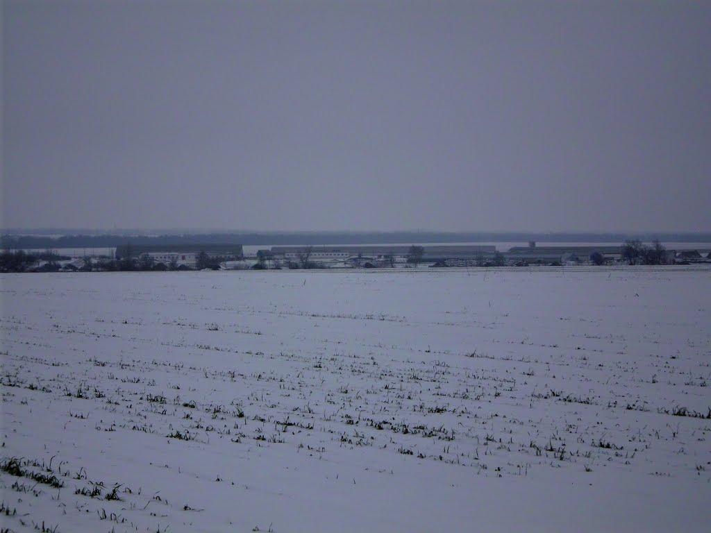 Жовтневе з panoramio.com - Жовтневое
