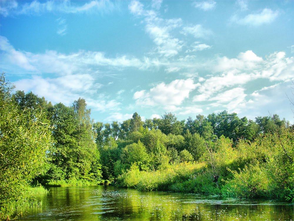 Броники з panoramio.com - Броники