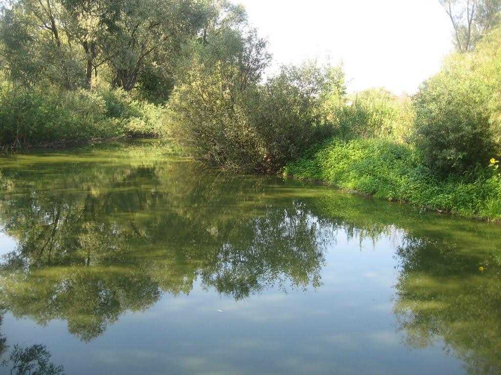 Кути з panoramio.com - Кути