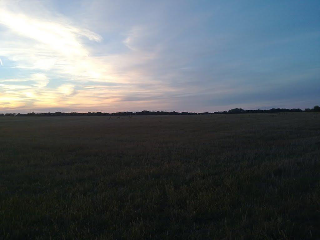 Балико-Щучинка з panoramio.com - Балыко-Щучинка