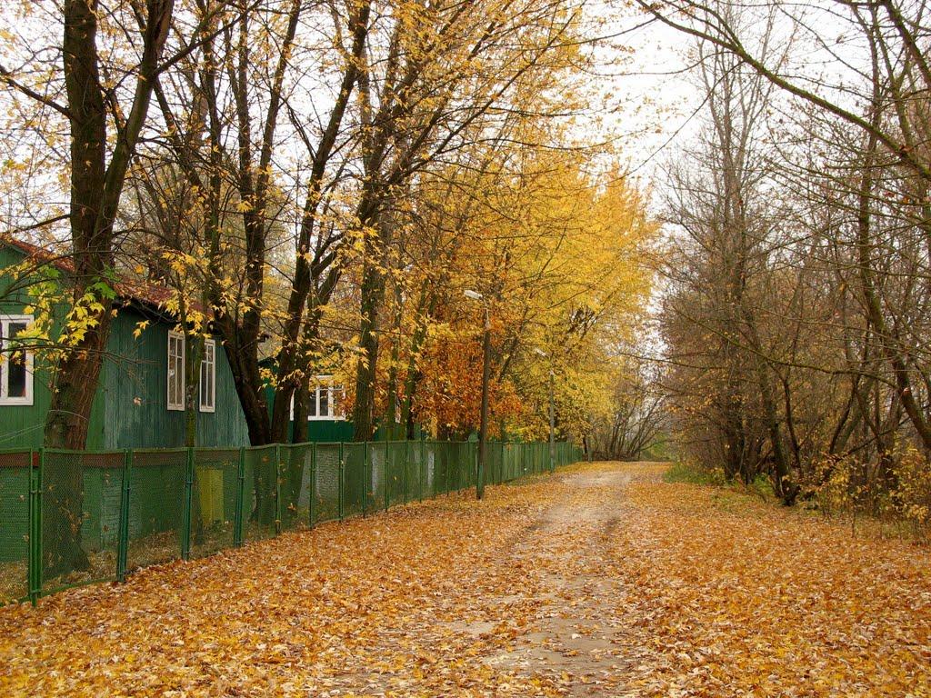 Хотянівка з panoramio.com - Хотяновка