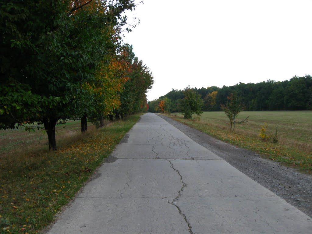 Заозерне з panoramio.com - Заозерное