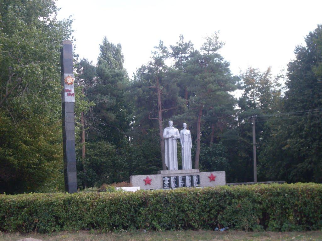 Степанівка з panoramio.com - Степановка