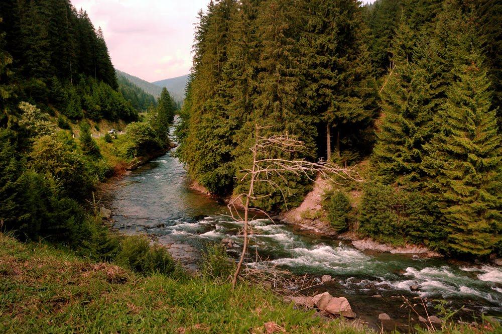 Синевир з panoramio.com - Синевир