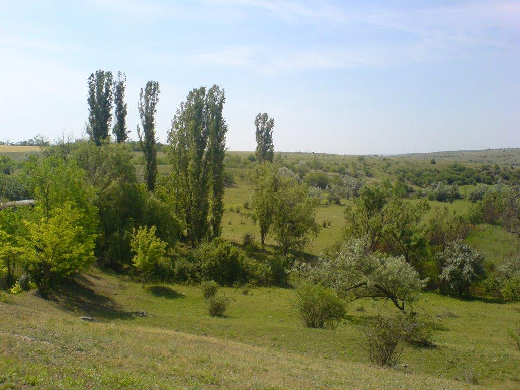 Маложенівка з panoramio.com - Маложенівка