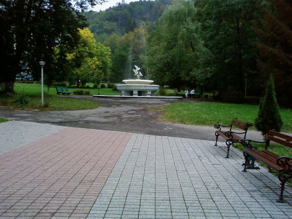 Синяк з panoramio.com - Синяк