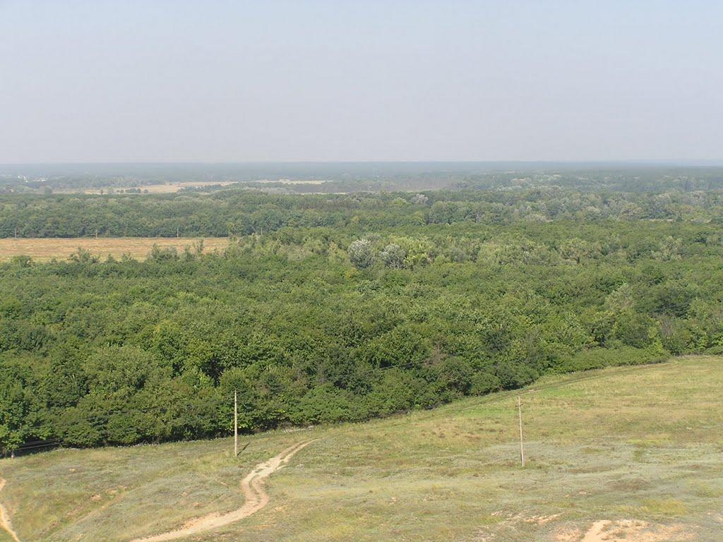 Дронівка з panoramio.com - Дроновка