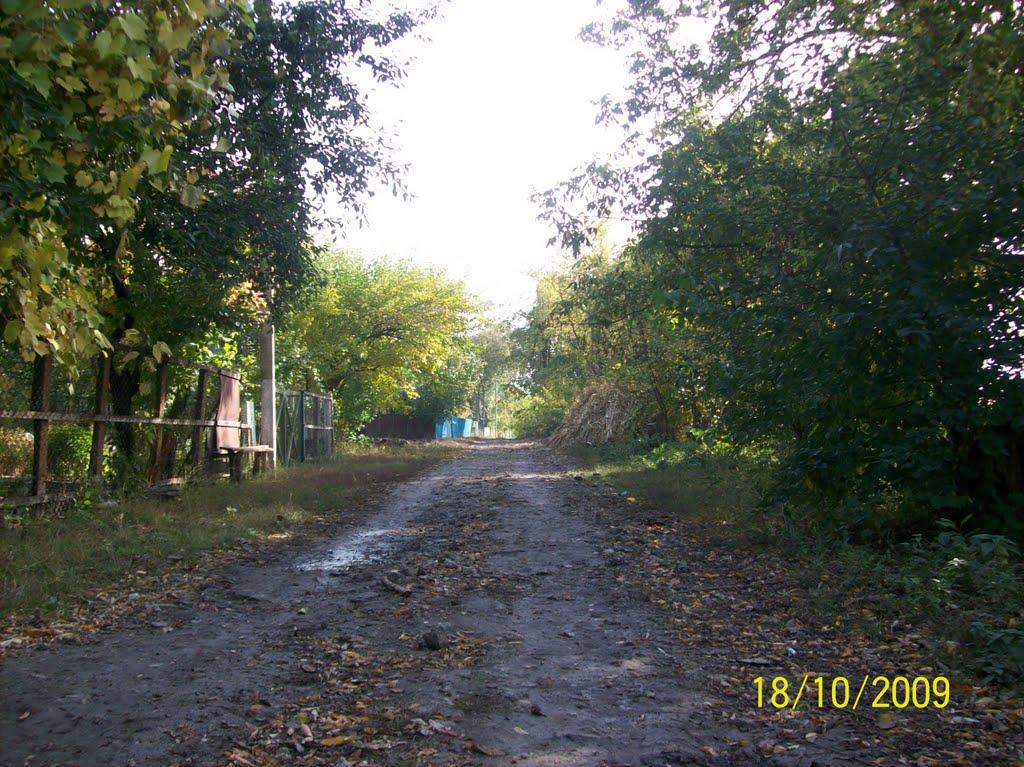 Вовчок з panoramio.com - Волчок