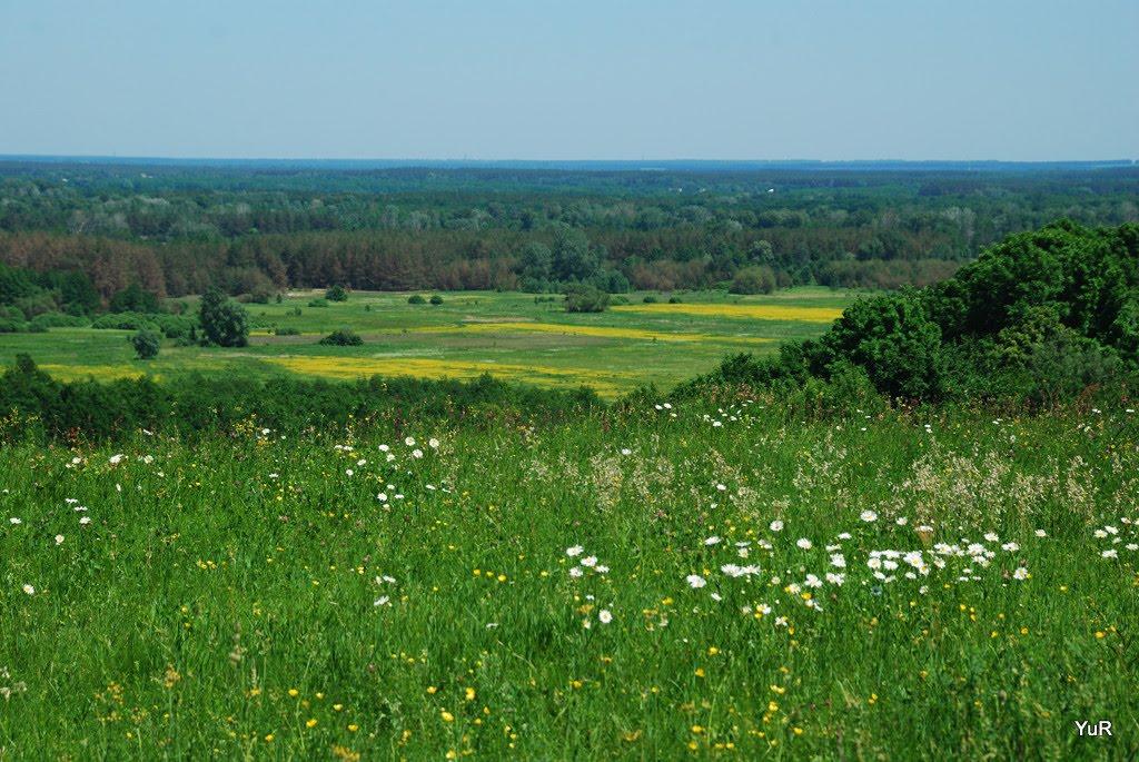 Опішня з panoramio.com - Опошня