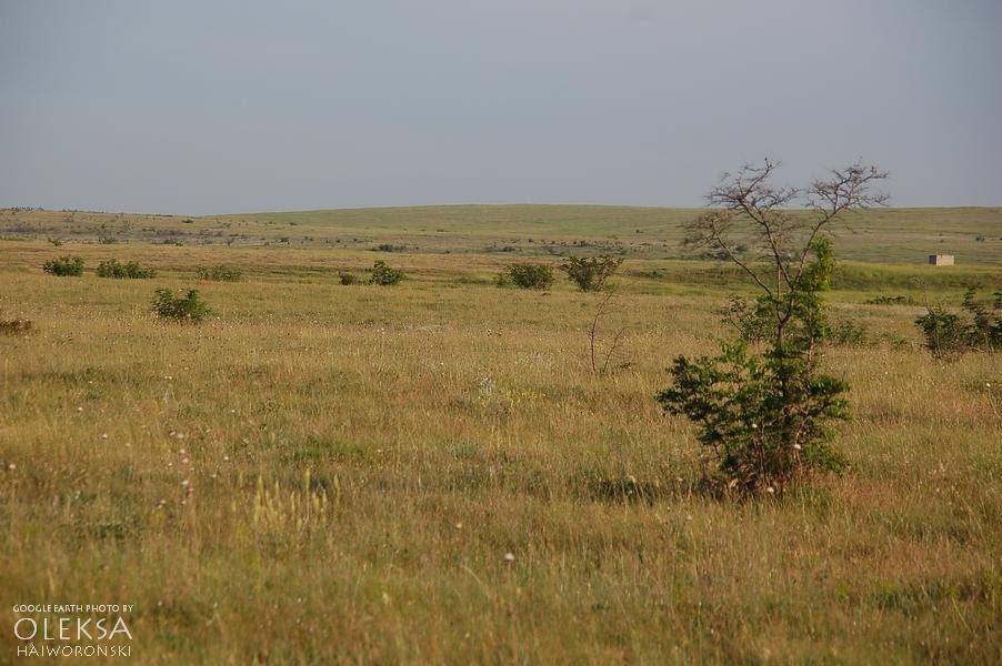 Кочергіне з panoramio.com - Кочергино