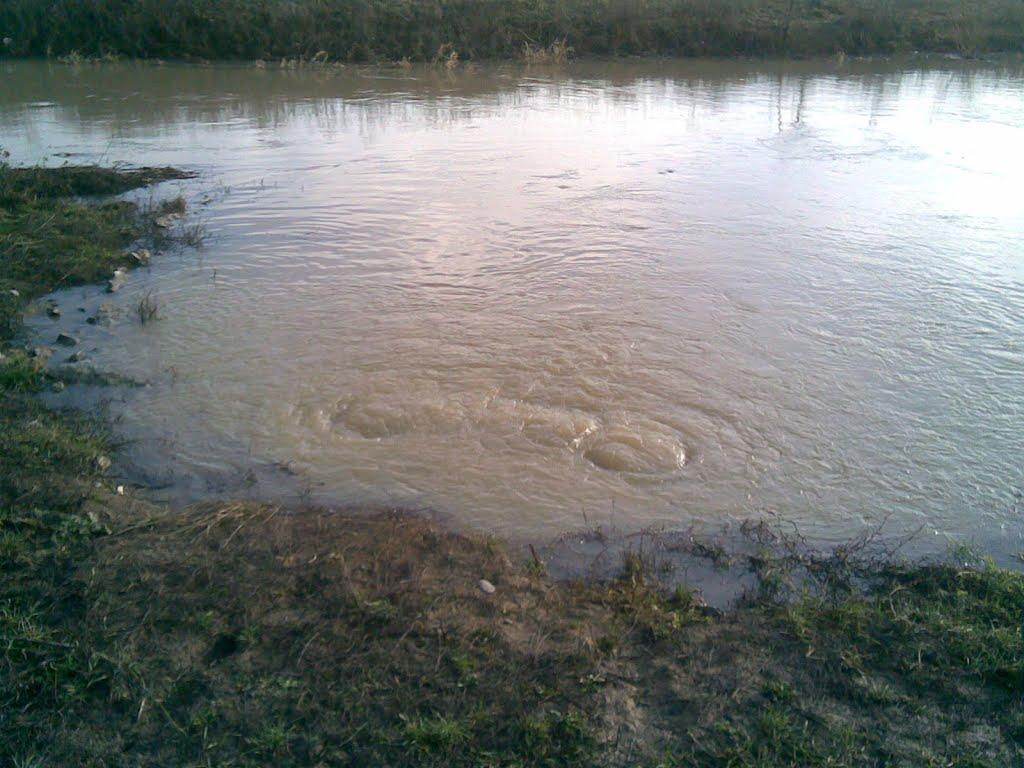 Ботар з panoramio.com - Ботар