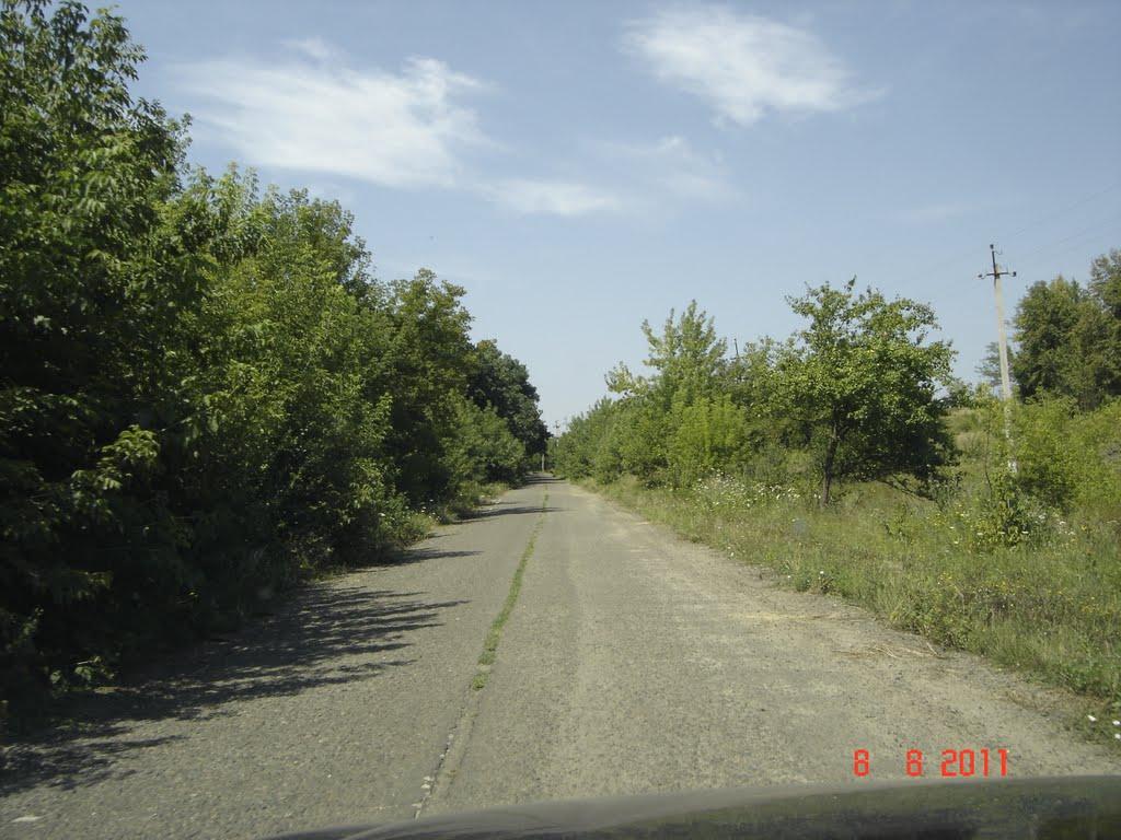 Дібрівка з panoramio.com - Дібрівка