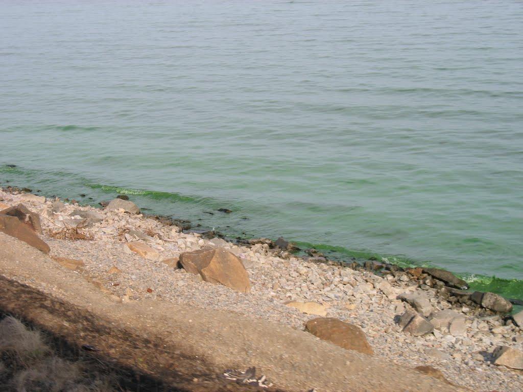 Сиваш з panoramio.com - Сиваш