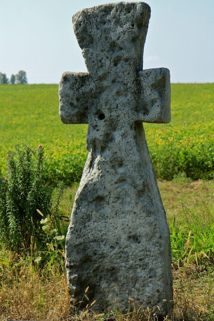 Копачів з panoramio.com - Копачов
