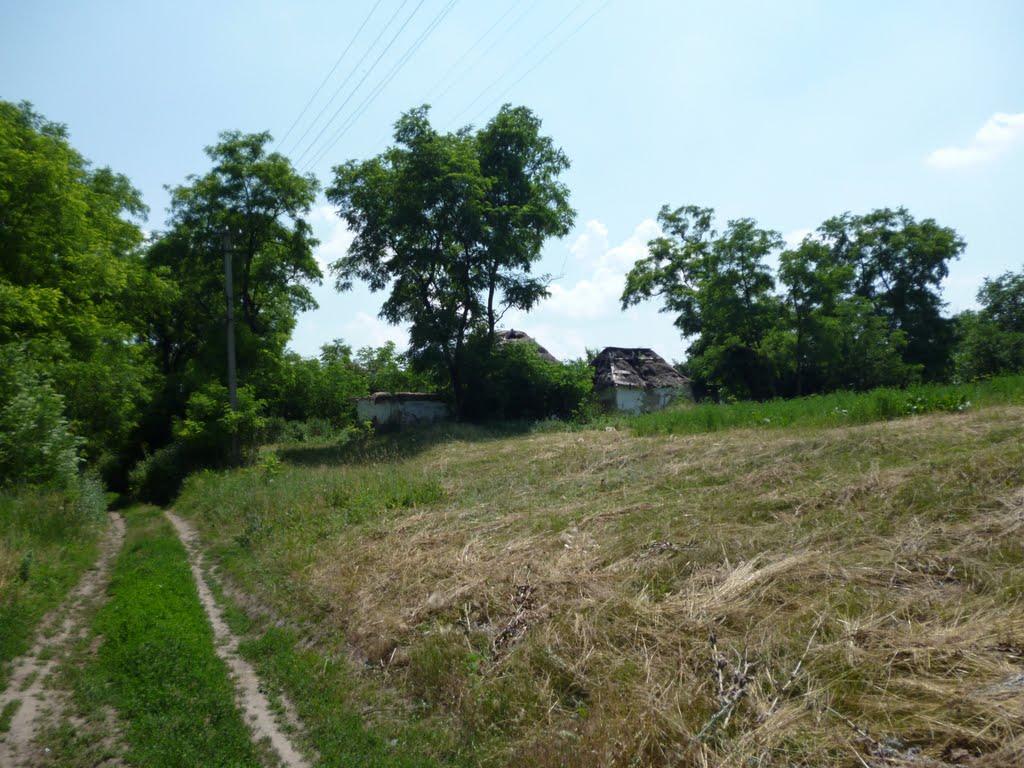 Дніпровокам'янка з panoramio.com - Дніпровокам'янка