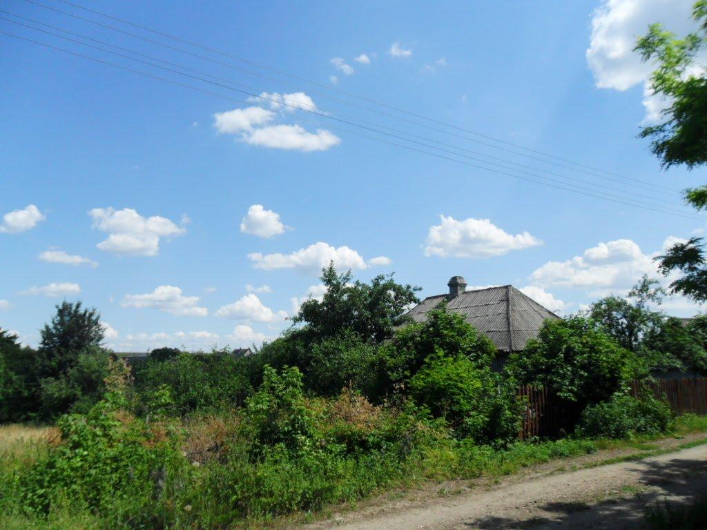 Миколаївські Сади з panoramio.com - Миколаївські Сади