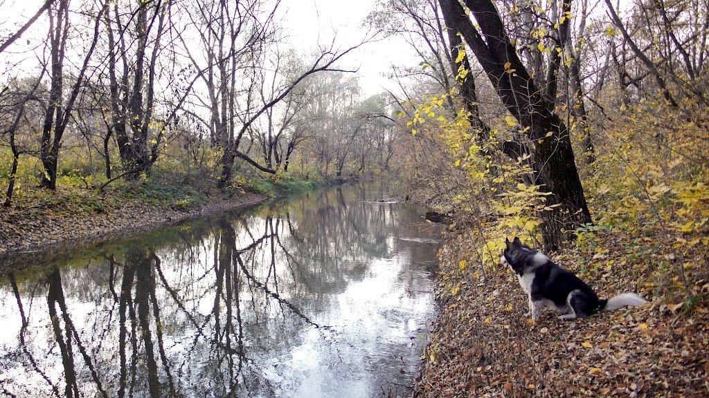 Дронівка з panoramio.com - Дроновка