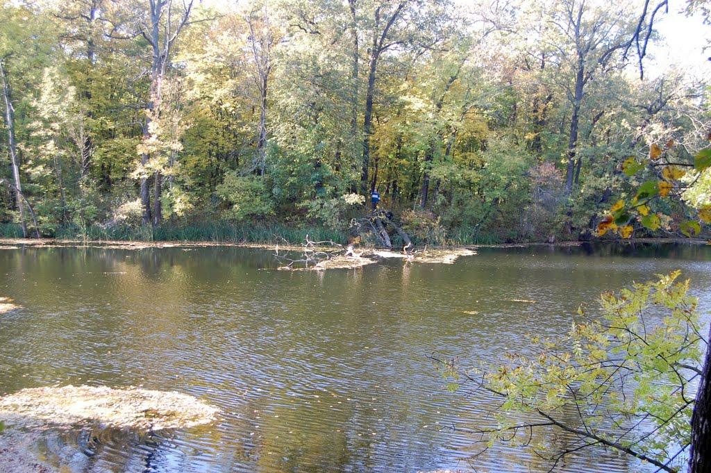 Серебрянка з panoramio.com - Серебрянка