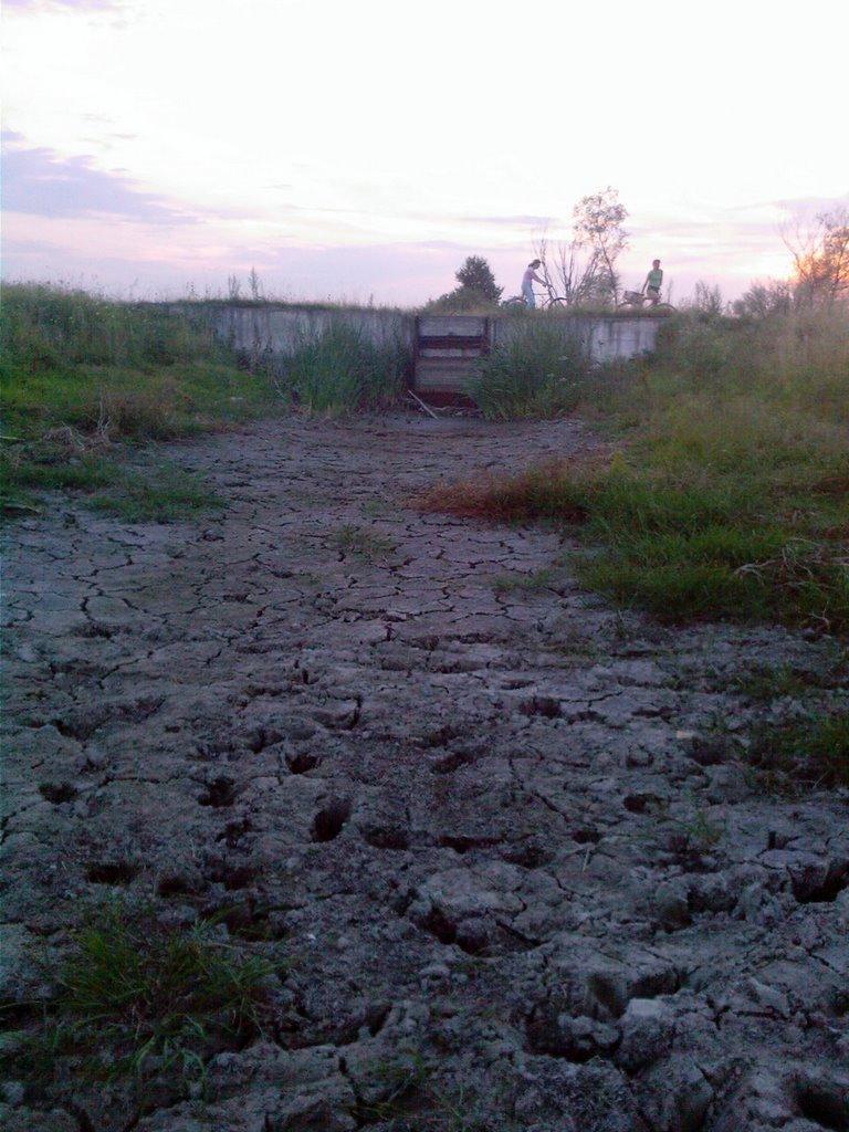 Підлісне з panoramio.com - Підлісне