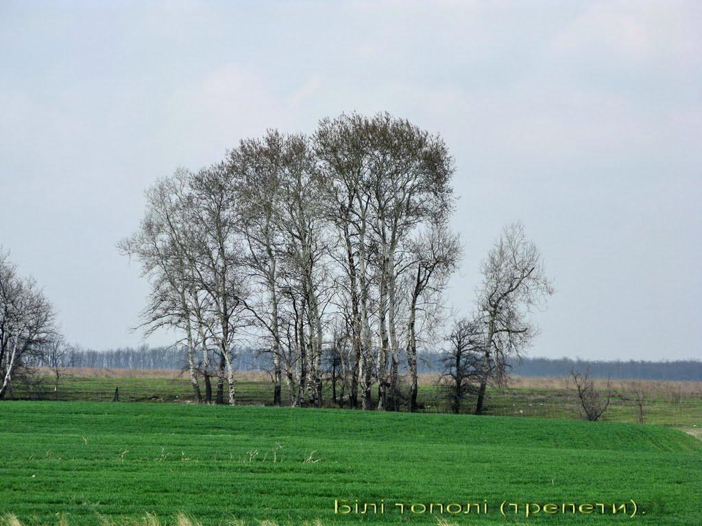 Миколаївка з panoramio.com - Миколаївка