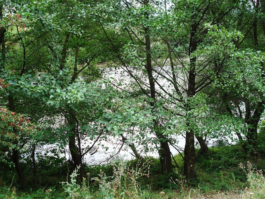 Довге з panoramio.com - Долгое