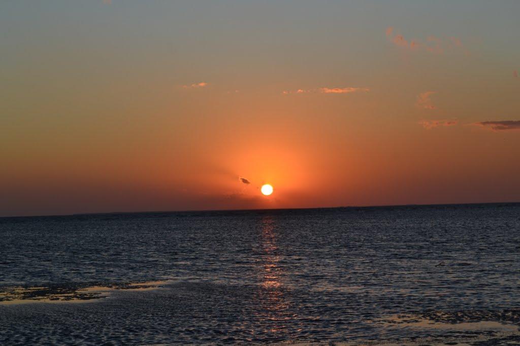 Сиваш з panoramio.com - Сиваш