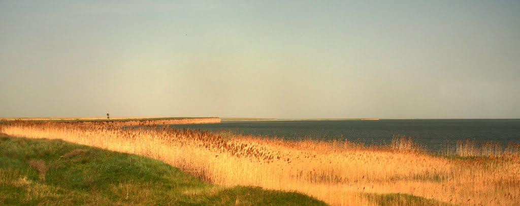 Сиваш з panoramio.com - Сиваш