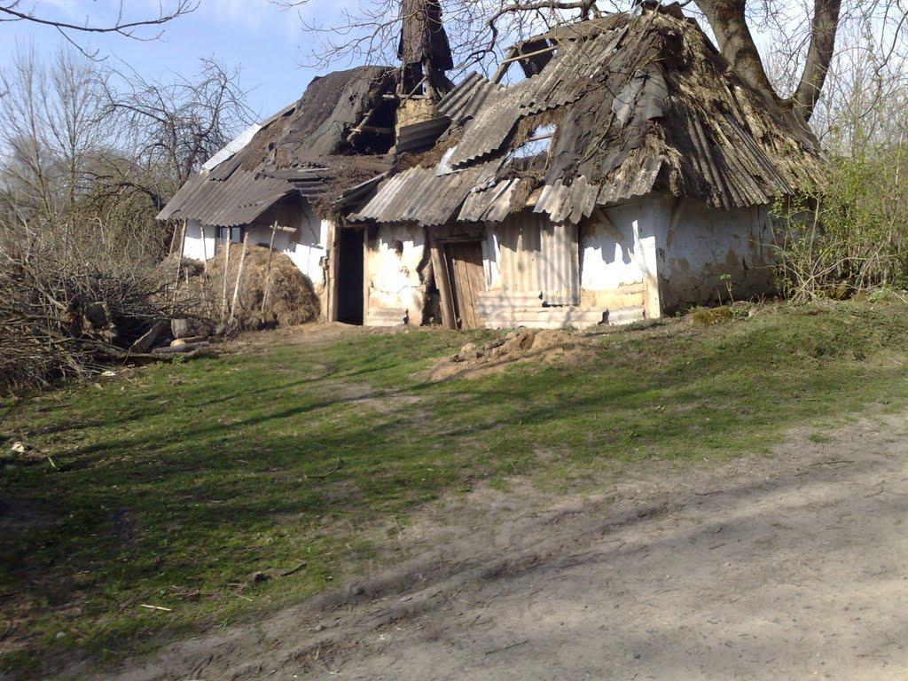 Велика Плавуча з panoramio.com - Велика Плавуча