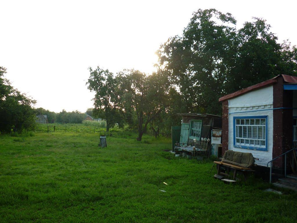 Майорщина з panoramio.com - Майорщина