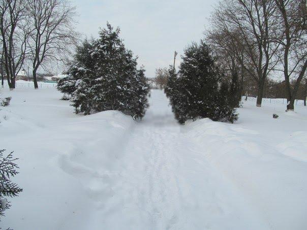 Жовтневе з panoramio.com - Жовтневое