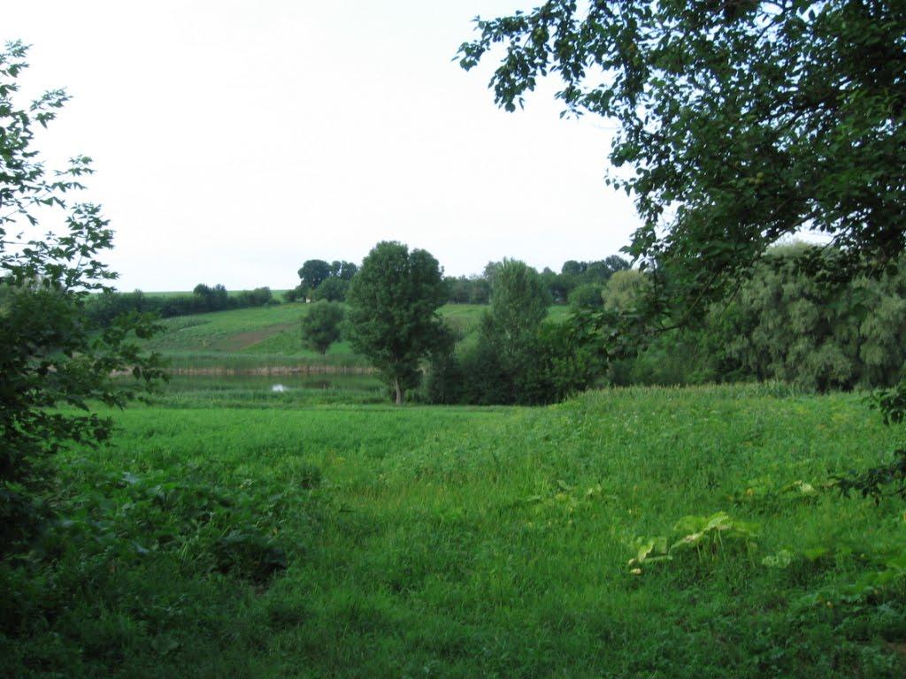 Сорокотяга з panoramio.com - Сорокотяга