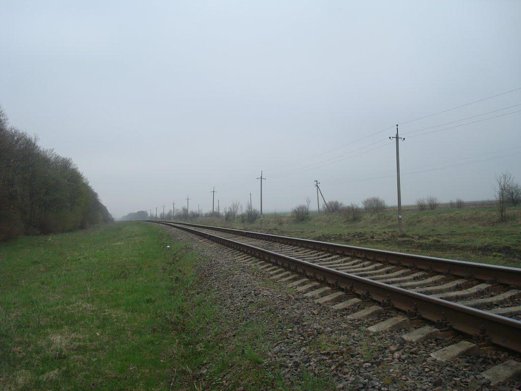 Грибенинка з panoramio.com - Грибенинка