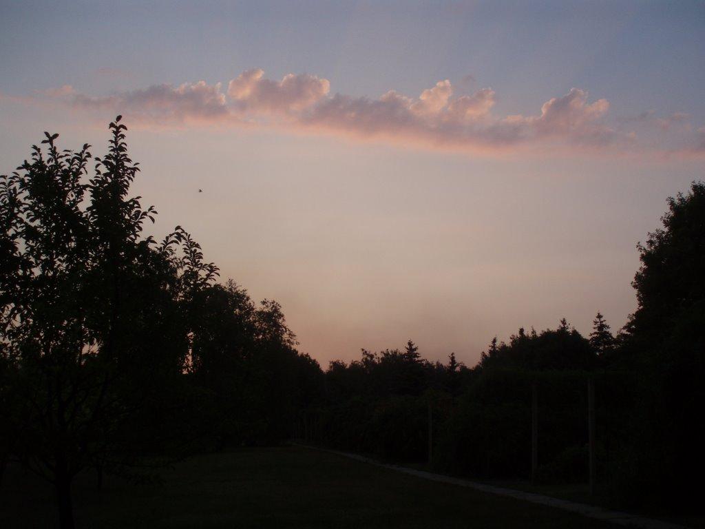 Кам'яне Поле з panoramio.com - Kamyane Pole