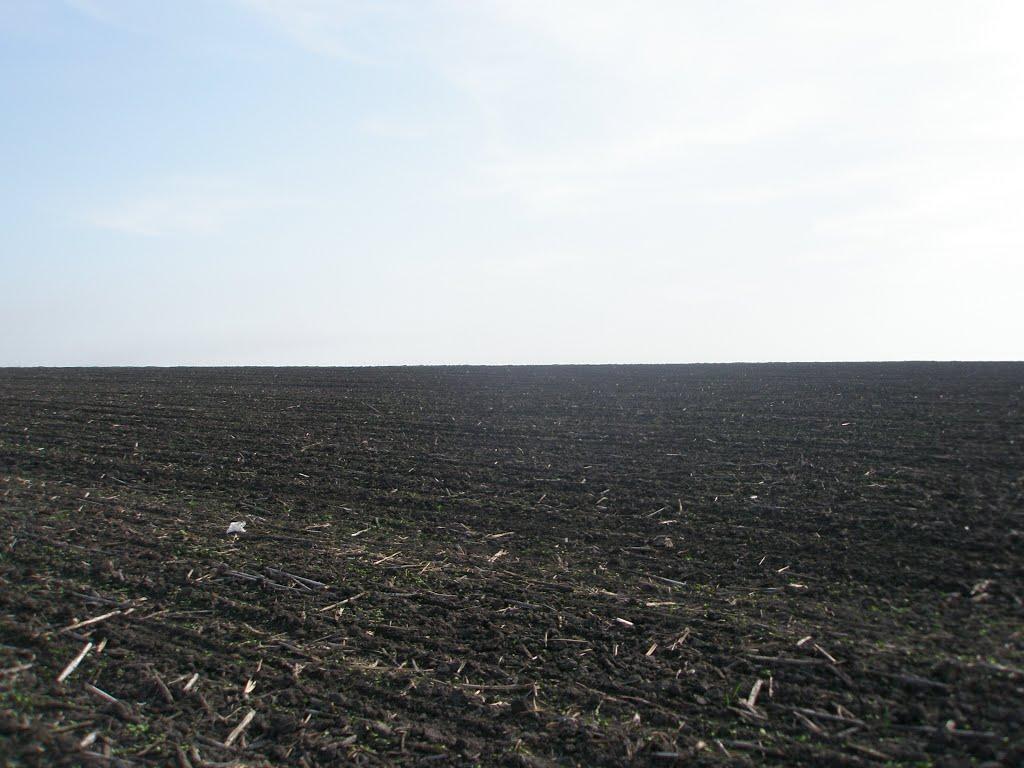 Оболонь з panoramio.com - Оболонь