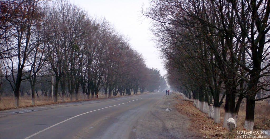 Чемужівка з panoramio.com - Чемужівка