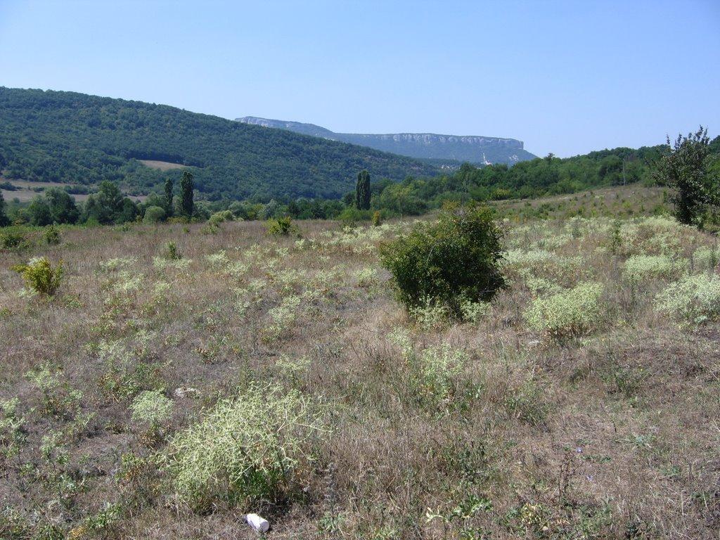 Нижня Голубинка з panoramio.com - Нижняя Голубинка