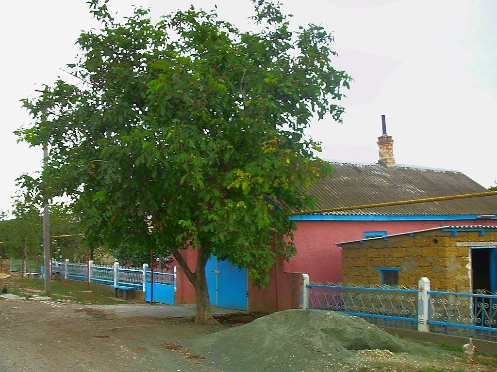 Шевченкове з panoramio.com - Шевченково