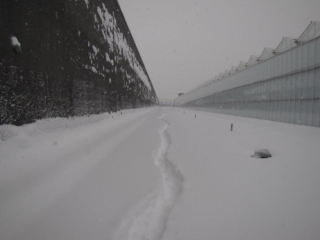 Синьків з panoramio.com - Синьків