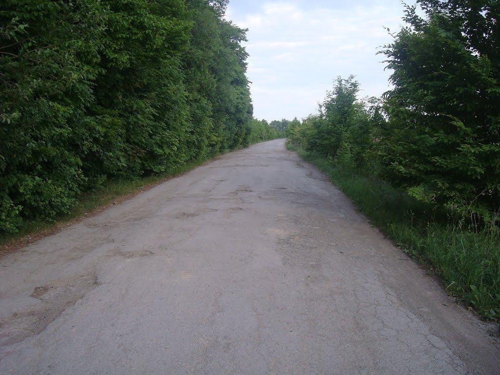 Ставчани з panoramio.com - Ставчаны