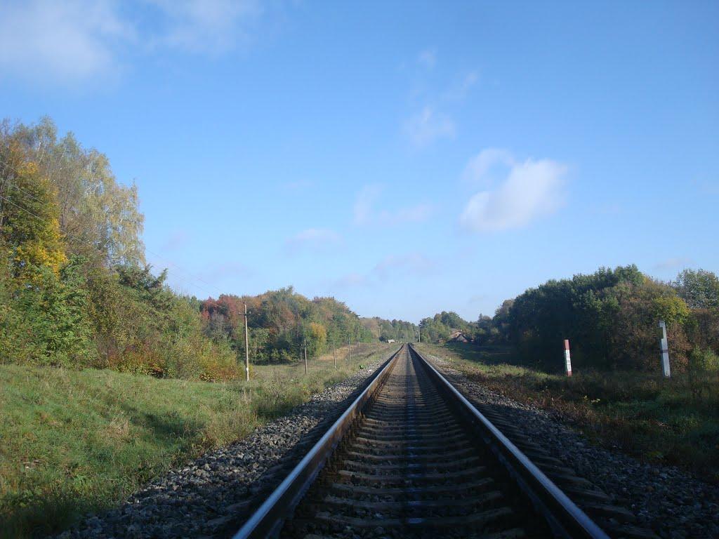 Велика Калинівка з panoramio.com - Велика Калинівка