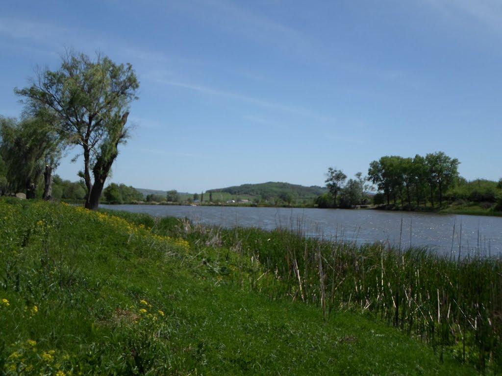 Могилівка з panoramio.com - Могилівка